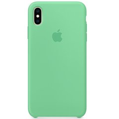 Чохол Silicone case orig 1: 1 (AAA) для Apple iPhone X / Xs (Зелений / Spearmint)