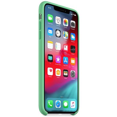 Чехол Silicone case orig 1:1 (AAA) для Apple iPhone X / Xs (Зеленый / Spearmint)