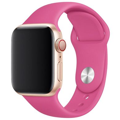 Силиконовый ремешок для Apple watch 38mm / 40mm (Малиновый / Dragon Fruit)