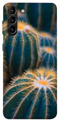 Чохол для Samsung Galaxy S21 + PandaPrint Кактуси квіти