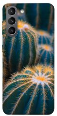 Чехол для Samsung Galaxy S21 PandaPrint Кактусы цветы