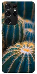 Чехол для Samsung Galaxy S21 Ultra PandaPrint Кактусы цветы