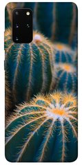 Чохол для Samsung Galaxy S20 + PandaPrint Кактуси квіти
