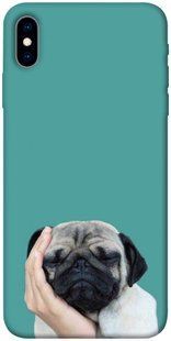 Чехол для Apple iPhone XS (5.8"") PandaPrint Спящий мопс животные