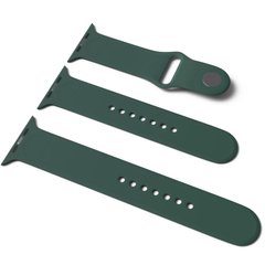 Силіконовий ремінець для Apple Watch Sport Band 38/40 (S / M & M / L) 3pcs (Зелений / Pine green)