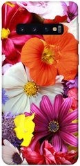 Чехол для Samsung Galaxy S10 PandaPrint Бархатный сезон цветы