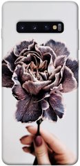 Чохол для Samsung Galaxy S10 + PandaPrint Гвоздика квіти