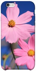 Чохол для Apple iPhone 6 / 6s (4.7 "") PandaPrint Рожева ромашка квіти