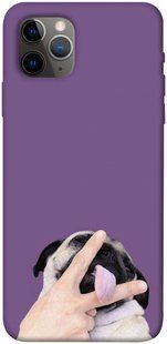 Чехол для Apple iPhone 11 Pro Max (6.5"") PandaPrint Мопс животные