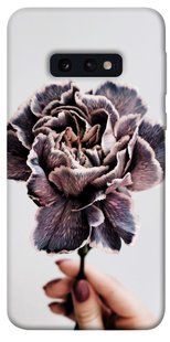 Чохол для Samsung Galaxy S10e PandaPrint Гвоздика квіти