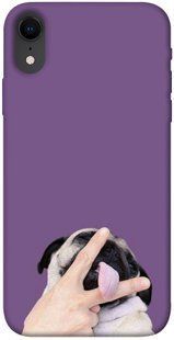Чехол для Apple iPhone XR (6.1"") PandaPrint Мопс животные