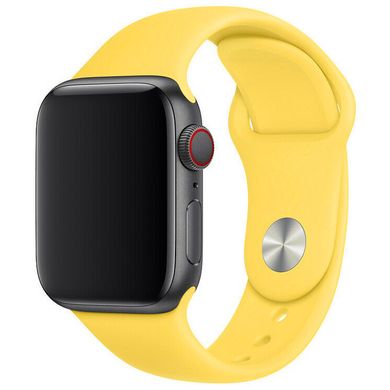 Силиконовый ремешок для Apple watch 38mm / 40mm (Желтый / Canary Yellow)