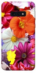 Чехол для Samsung Galaxy S10e PandaPrint Бархатный сезон цветы