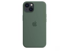 Чохол Silicone case Original 1:1 (AAA) with Magsafe для Apple iPhone 13 (6.1") (Зелений/ Eucalyptus)