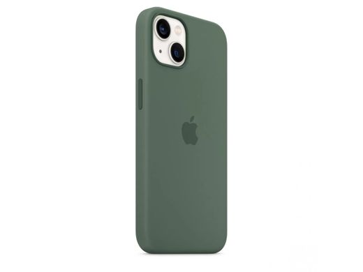 Чехол Silicone case Original 1:1 (AAA) with Magsafe для Apple iPhone 13 (6.1") (Зеленый/ Eucalyptus)