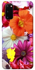 Чохол для Samsung Galaxy S20 PandaPrint Оксамитовий сезон квіти