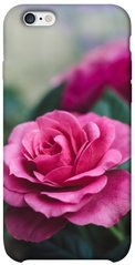Чехол для Apple iPhone 6/6s (4.7"") PandaPrint Роза в саду цветы