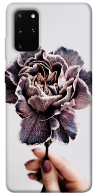 Чохол для Samsung Galaxy S20 + PandaPrint Гвоздика квіти