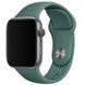 Силиконовый ремешок для Apple watch 38mm / 40mm (Зеленый / Pine green)