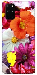 Чехол для Samsung Galaxy S20+ PandaPrint Бархатный сезон цветы