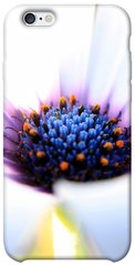 Чехол для Apple iPhone 6/6s (4.7"") PandaPrint Полевой цветок цветы