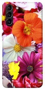 Чехол для Samsung Galaxy S21+ PandaPrint Бархатный сезон цветы