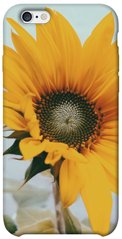 Чохол для Apple iPhone 6 / 6s (4.7 "") PandaPrint Соняшник квіти