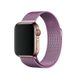 Ремінець для Apple Watch 38/40/41 mm Milanese Loop Dragon Fruit