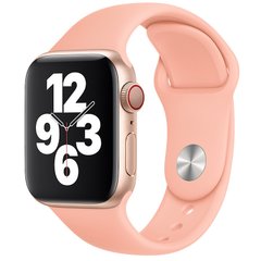 Силіконовий ремінець для Apple watch 42mm / 44mm (Рожевий / Flamingo)