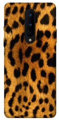Чехол для OnePlus 8 PandaPrint Леопардовый принт животные