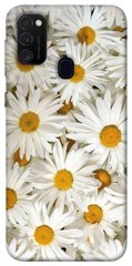 Чехол для Samsung Galaxy M30s / M21 PandaPrint Ромашки цветы
