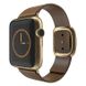 Ремінець для Apple Watch 42/44/45 mm Modern Buckle Leather Brown/Gold