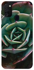 Чехол для Samsung Galaxy M30s / M21 PandaPrint Эхеверия цветы