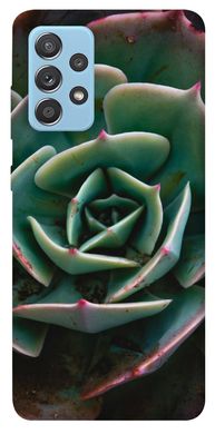 Чехол для Samsung Galaxy A52 4G / A52 5G PandaPrint Эхеверия цветы