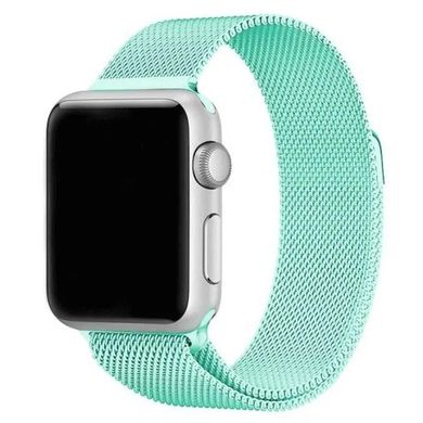 Ремінець для Apple Watch 38/40/41 mm Milanese Loop Spearmint