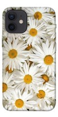 Чехол для Apple iPhone 12 mini (5.4"") PandaPrint Ромашки цветы
