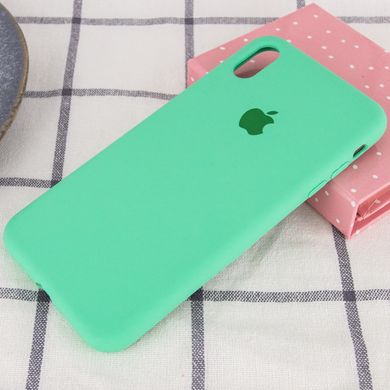 Чехол для Apple iPhone XR (6.1"") Silicone Case Full с микрофиброй и закрытым низом Зеленый / Spearmint