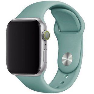 Силіконовий ремінець для Apple watch 38mm / 40mm (Зелений / Light cactus)