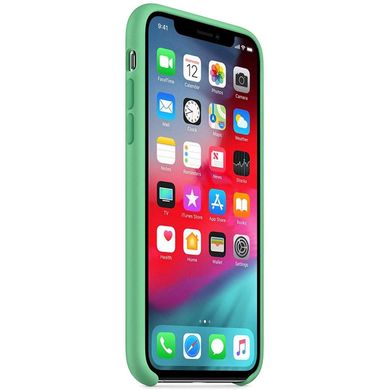 Чехол для Apple iPhone XR (6.1"") Silicone Case Зеленый / Spearmint