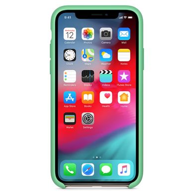 Чохол для Apple iPhone XR (6.1 "") Silicone Case Зелений / Spearmint