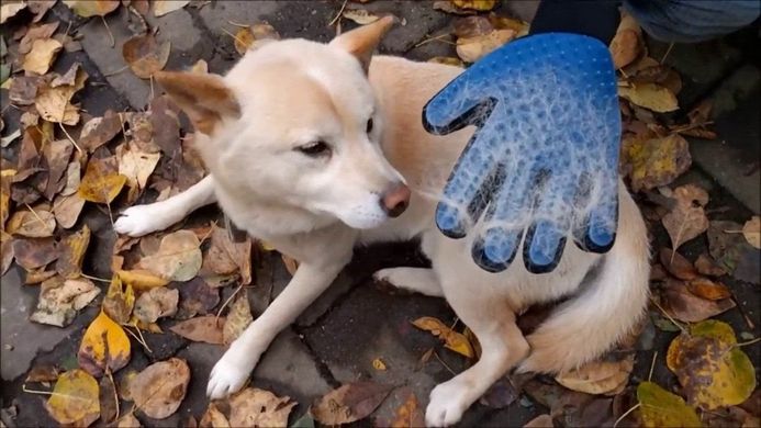 Перчатка для вычесывания шерсти True Touch, Тру Тач, Pet Glove