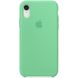 Чехол для Apple iPhone XR (6.1"") Silicone Case Зеленый / Spearmint