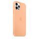 Чохол для Apple iPhone 16 Pro Max Silicone Case Full / закритий низ Помаранчевий / Cantaloupe