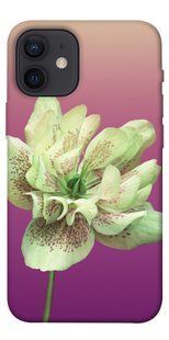 Чохол для Apple iPhone 12 mini (5.4 "") PandaPrint Рожевий пурпур квіти