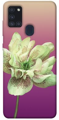 Чохол для Samsung Galaxy A21s PandaPrint Рожевий пурпур квіти