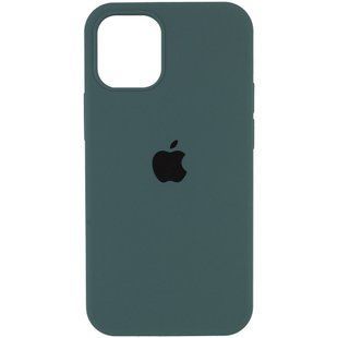 Чохол для iPhone 12 Pro Max Silicone Full / закритий низ / Зелений / Cactus