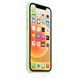 Чохол для Apple iPhone 14 Plus Silicone Case Full / закрытый низ Зелений / Pistachio
