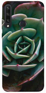 Чехол для Huawei Y6p PandaPrint Эхеверия цветы