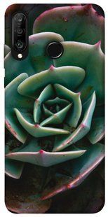 Чехол для Huawei P30 lite PandaPrint Эхеверия цветы
