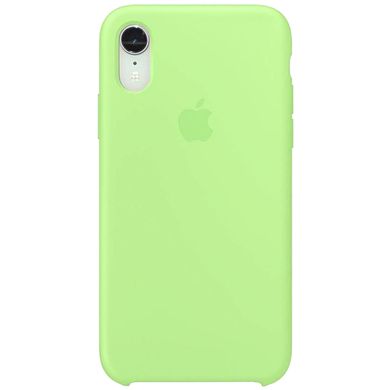Чохол для Apple iPhone XR (6.1 "") Silicone Case М'ятний / Mint